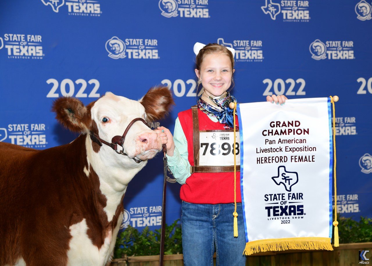 Kinleigh Guidry poses with her Hereford at the State Fair of Texas.